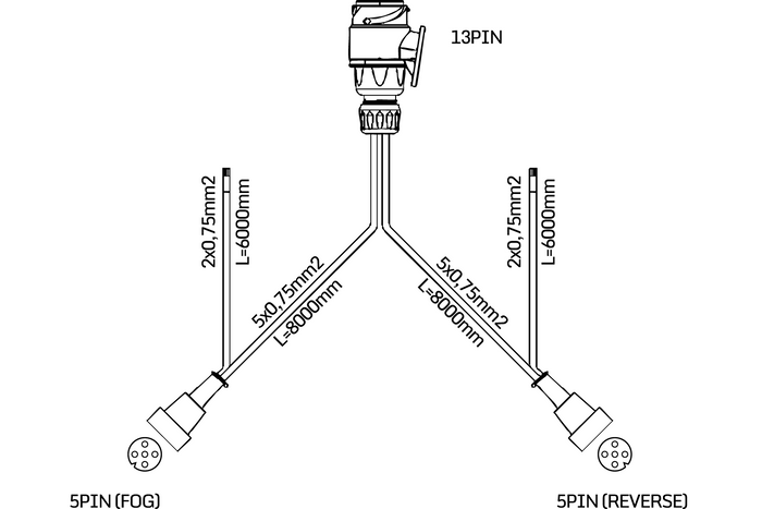 Lyssett: ASPÖCK baklys + ASPÖCK sidemarkeringslys + MANTES 8m 13-PIN sele + hurtigkoblinger