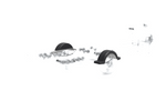Skjerm for båthenger 13" DOMAR D20422 hjulbue 950/240mm
