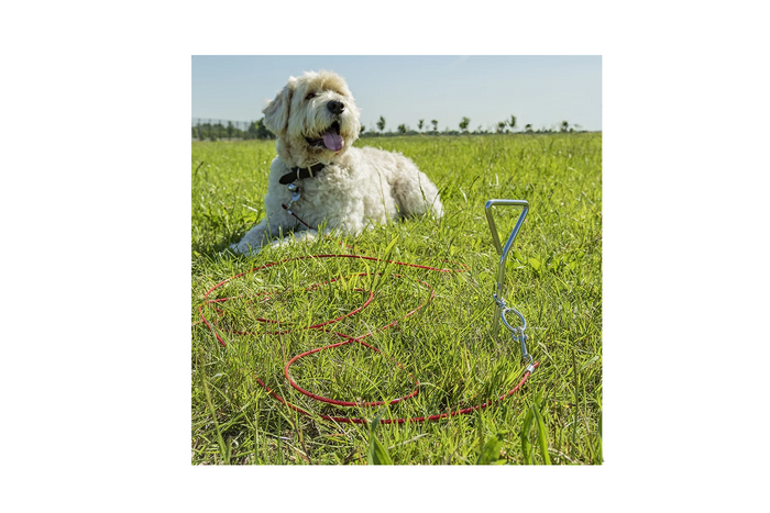 ProPlus 361857 beltefestestolpe med stålkabel 4,5 m