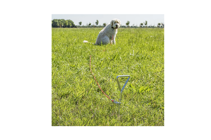 ProPlus 361857 beltefestestolpe med stålkabel 4,5 m