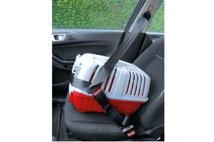 Sikkerhetsbelteforlenger LAMP R16-godkjent 28–62 cm