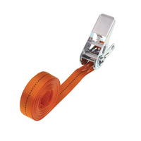 HILLS 5m/25mm/1t ettdelt belte med strammer